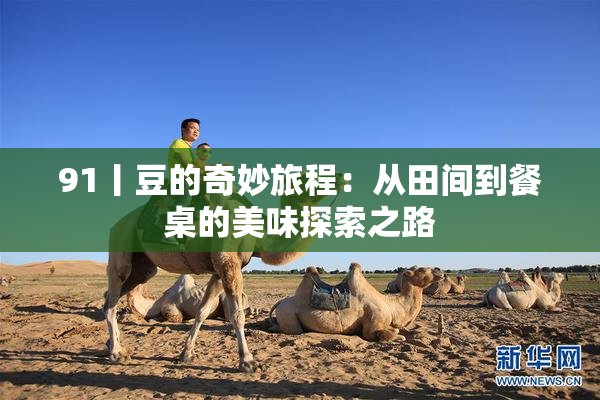 91丨豆的奇妙旅程：从田间到餐桌的美味探索之路
