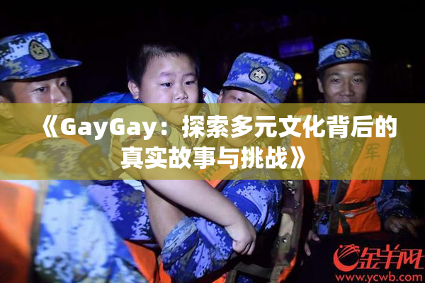 《GayGay：探索多元文化背后的真实故事与挑战》