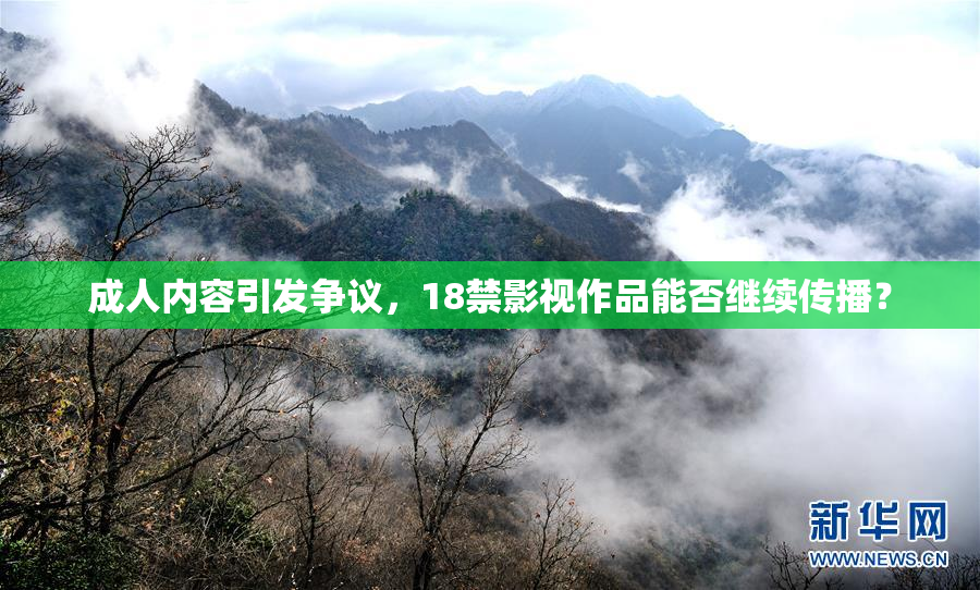 成人内容引发争议，18禁影视作品能否继续传播？