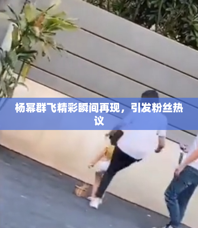 杨幂群飞精彩瞬间再现，引发粉丝热议