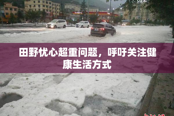 田野忧心超重问题，呼吁关注健康生活方式