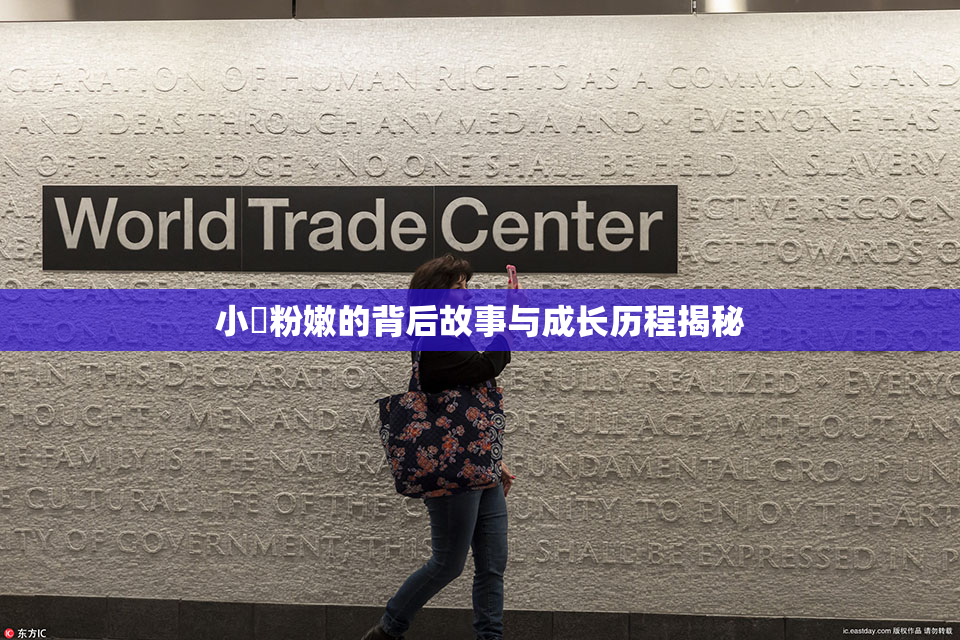 小泬粉嫩的背后故事与成长历程揭秘