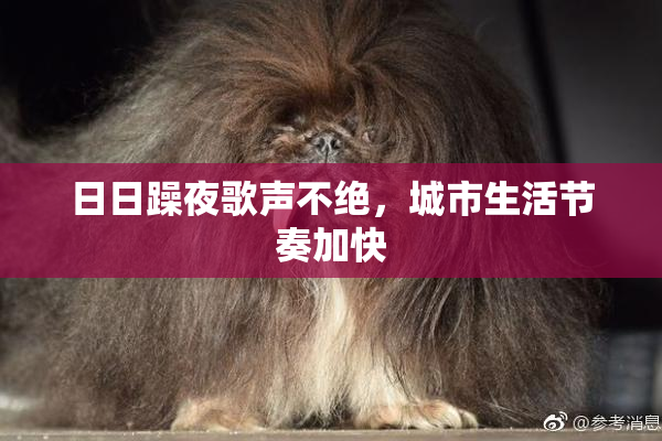 日日躁夜歌声不绝，城市生活节奏加快