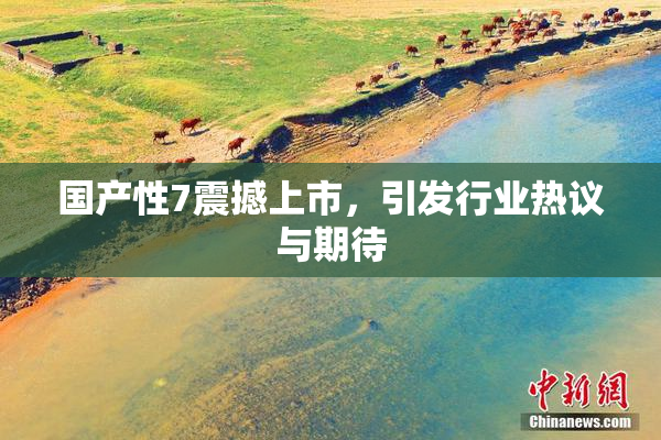 国产性7震撼上市，引发行业热议与期待