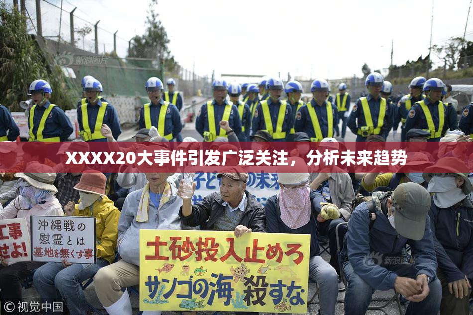 XXXX20大事件引发广泛关注，分析未来趋势
