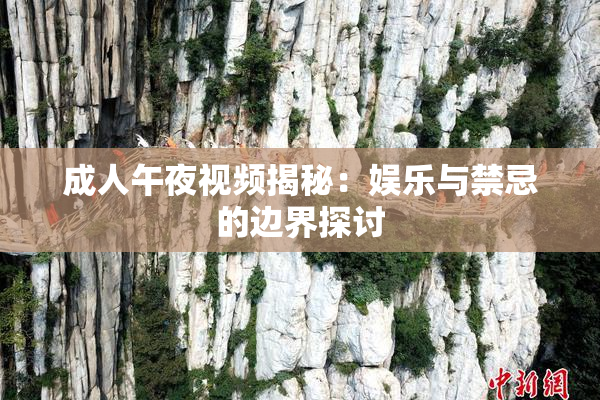成人午夜视频揭秘：娱乐与禁忌的边界探讨