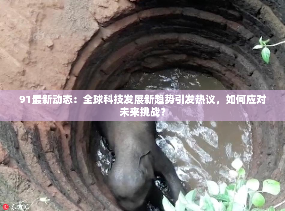 91最新动态：全球科技发展新趋势引发热议，如何应对未来挑战？