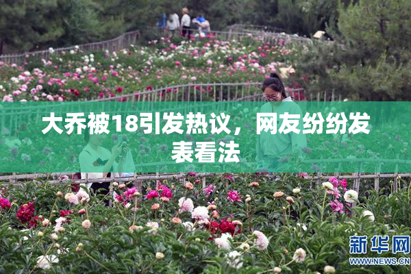 大乔被18引发热议，网友纷纷发表看法
