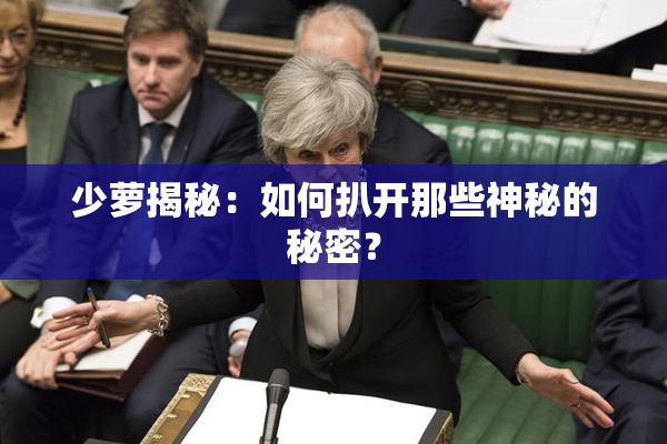 少萝揭秘：如何扒开那些神秘的秘密？