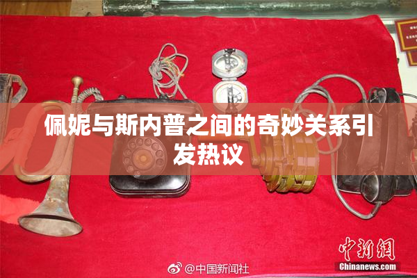 佩妮与斯内普之间的奇妙关系引发热议