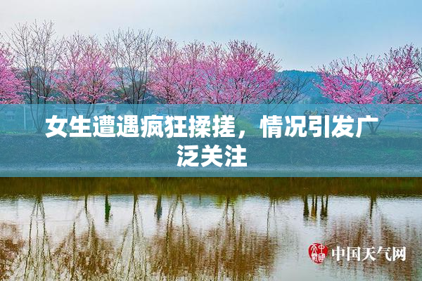 女生遭遇疯狂揉搓，情况引发广泛关注