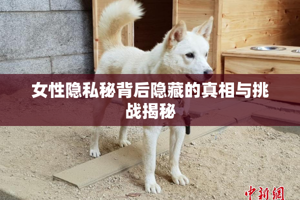 女性隐私秘背后隐藏的真相与挑战揭秘