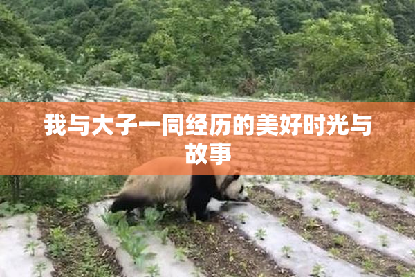 我与大子一同经历的美好时光与故事