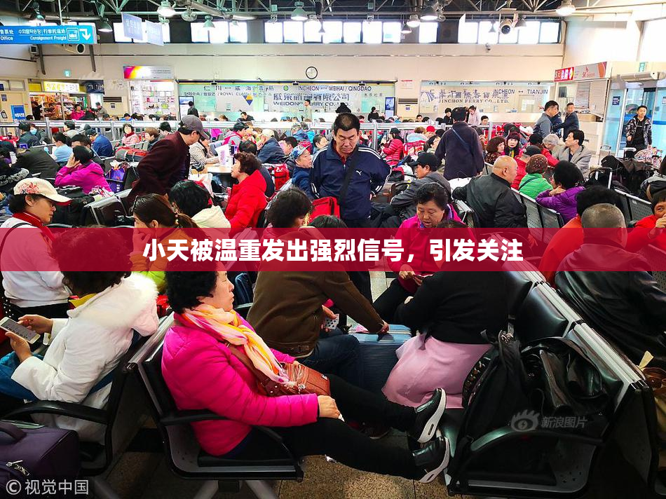 小天被温重发出强烈信号，引发关注