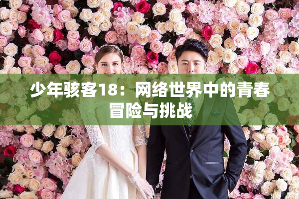 少年骇客18：网络世界中的青春冒险与挑战