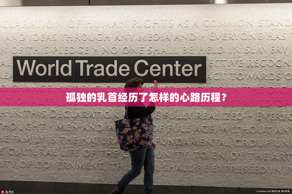 孤独的乳首经历了怎样的心路历程？