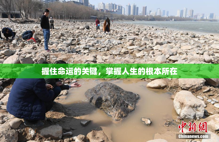 握住命运的关键，掌握人生的根本所在