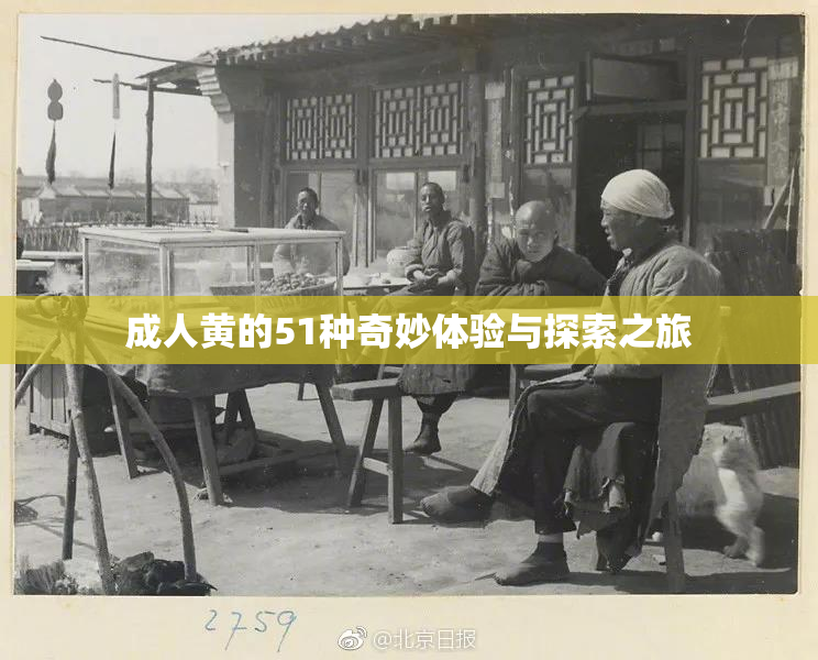 成人黄的51种奇妙体验与探索之旅