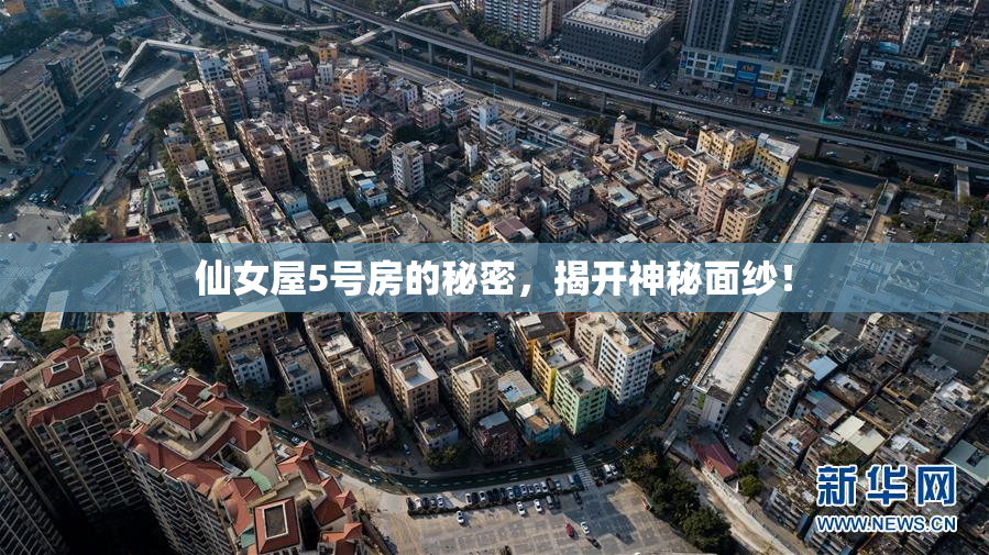 仙女屋5号房的秘密，揭开神秘面纱！