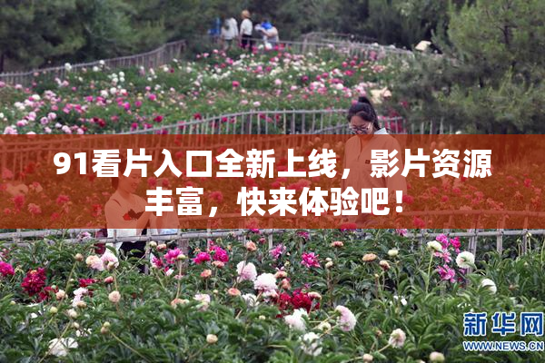 91看片入口全新上线，影片资源丰富，快来体验吧！