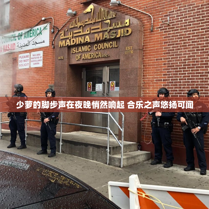 少萝的脚步声在夜晚悄然响起 合乐之声悠扬可闻