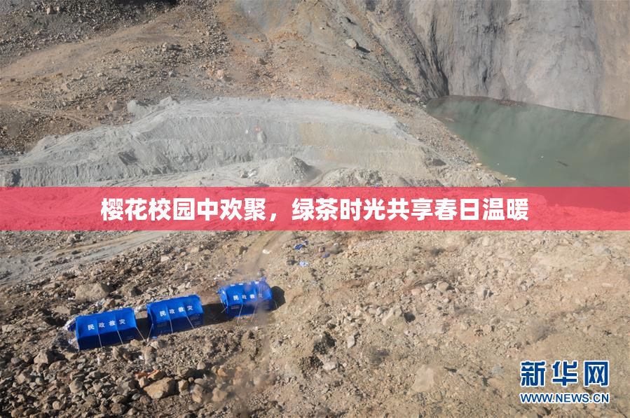 樱花校园中欢聚，绿茶时光共享春日温暖