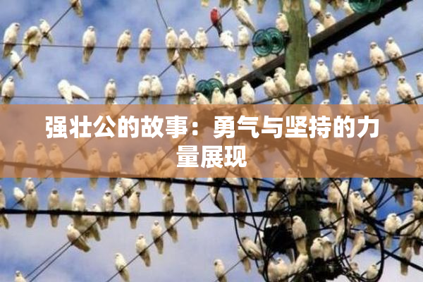强壮公的故事：勇气与坚持的力量展现