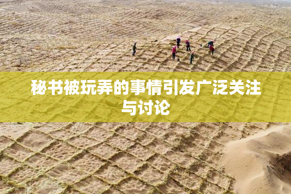 秘书被玩弄的事情引发广泛关注与讨论