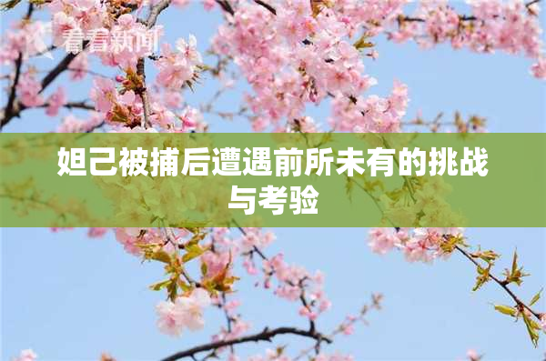 妲己被捕后遭遇前所未有的挑战与考验