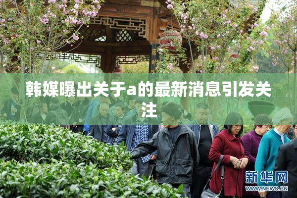 韩媒曝出关于a的最新消息引发关注