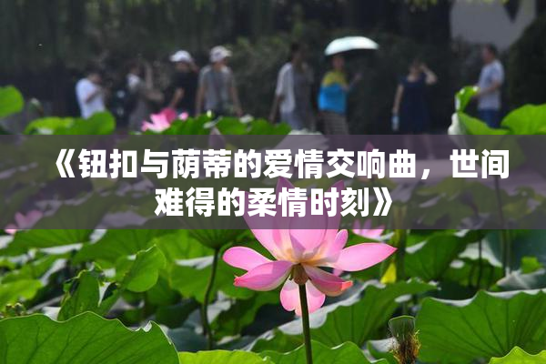 《钮扣与荫蒂的爱情交响曲，世间难得的柔情时刻》