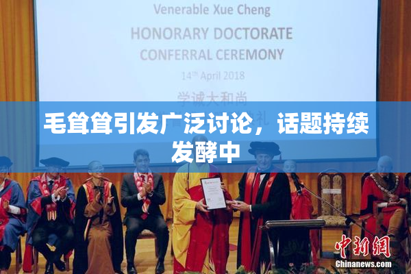 毛耸耸引发广泛讨论，话题持续发酵中