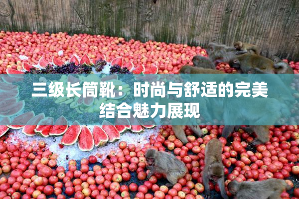 三级长筒靴：时尚与舒适的完美结合魅力展现
