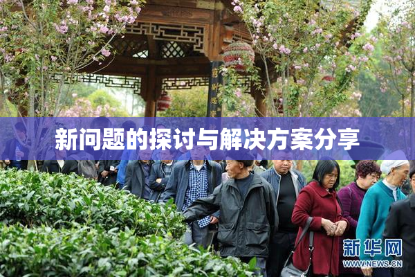 新问题的探讨与解决方案分享