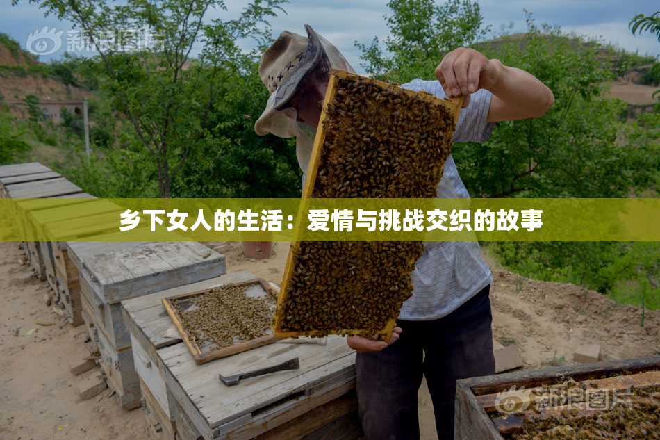 乡下女人的生活：爱情与挑战交织的故事