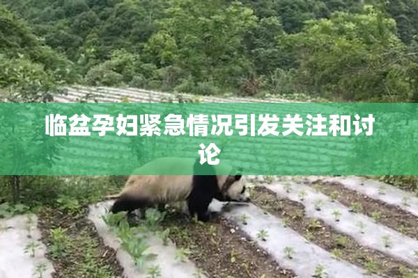 临盆孕妇紧急情况引发关注和讨论