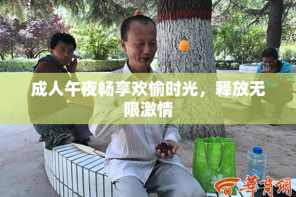 成人午夜畅享欢愉时光，释放无限激情