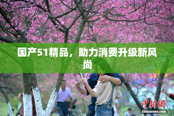 国产51精品，助力消费升级新风尚