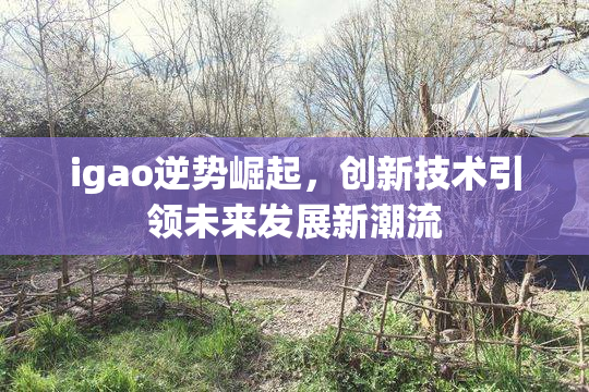 igao逆势崛起，创新技术引领未来发展新潮流