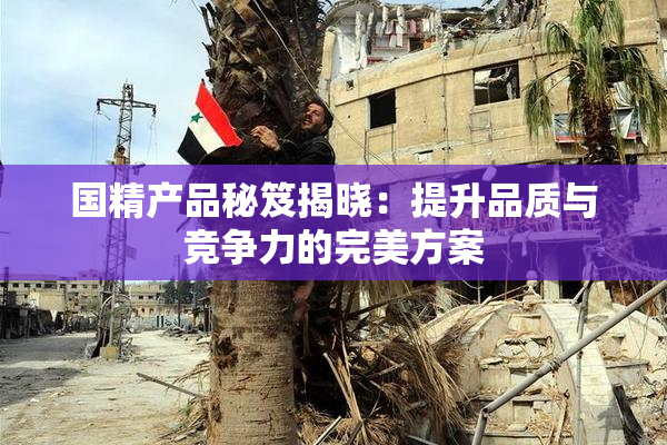 国精产品秘笈揭晓：提升品质与竞争力的完美方案