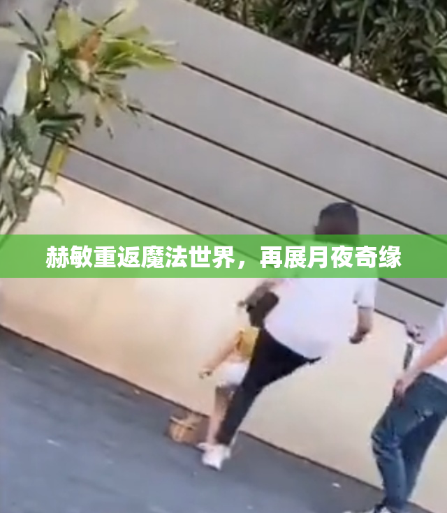 赫敏重返魔法世界，再展月夜奇缘