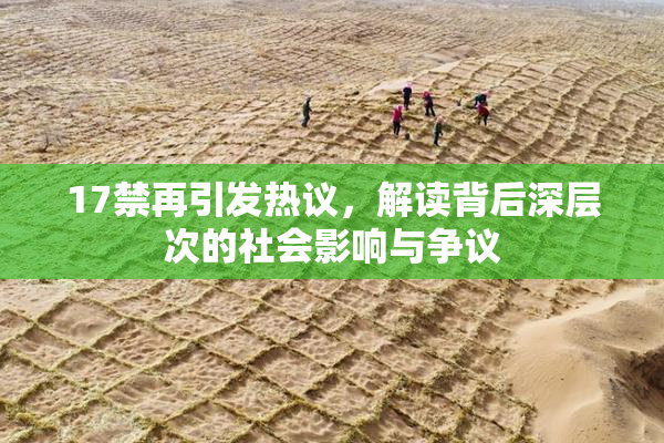 17禁再引发热议，解读背后深层次的社会影响与争议