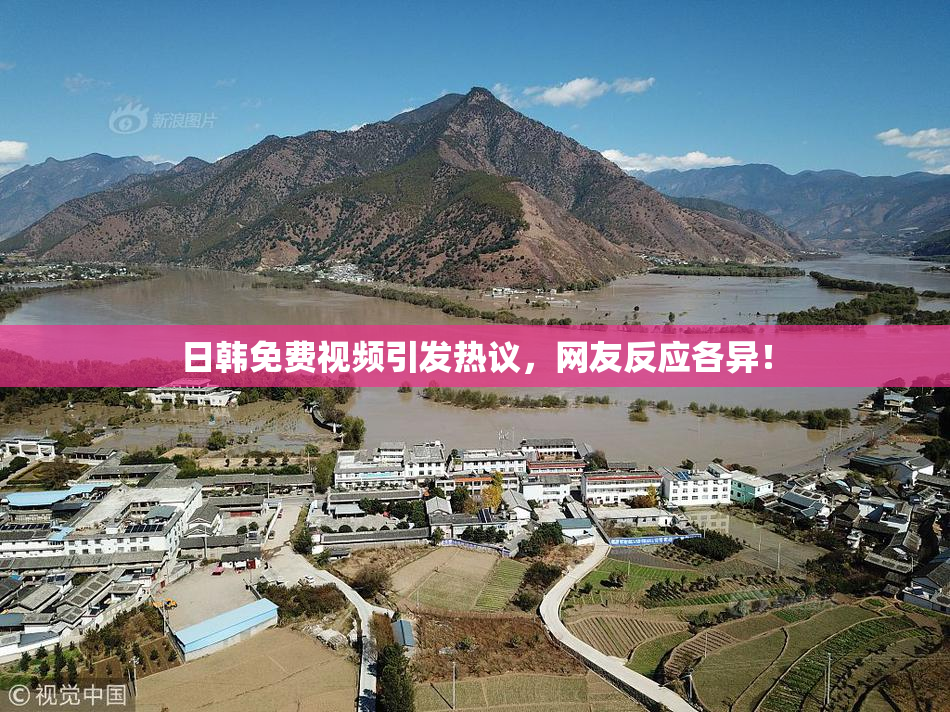 日韩免费视频引发热议，网友反应各异！