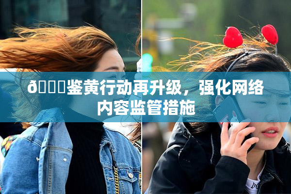 🔞鉴黄行动再升级，强化网络内容监管措施