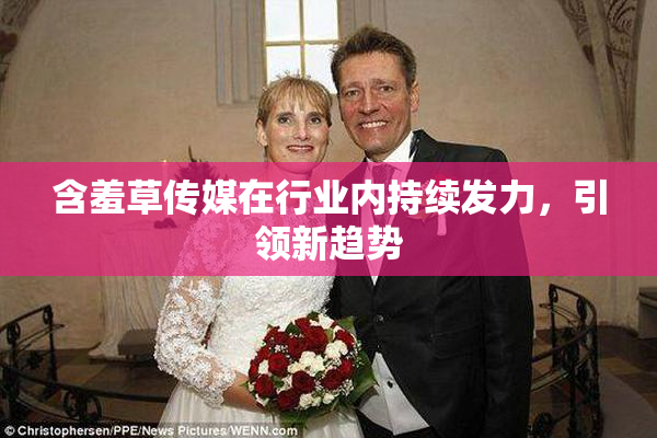 含羞草传媒在行业内持续发力，引领新趋势