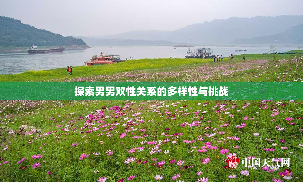 探索男男双性关系的多样性与挑战