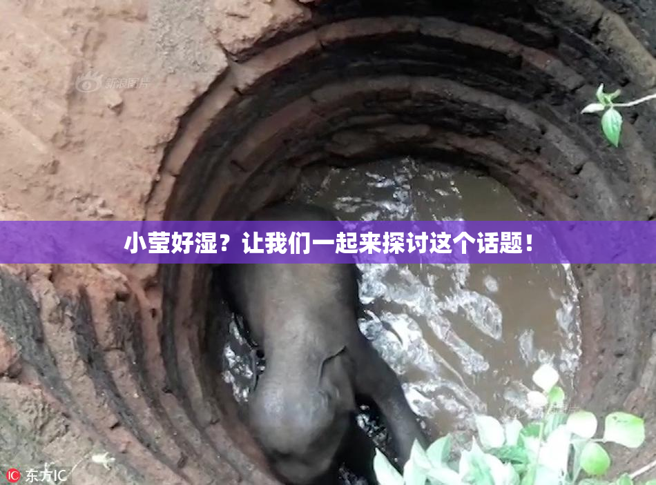 小莹好湿？让我们一起来探讨这个话题！