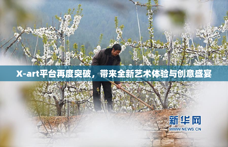 X-art平台再度突破，带来全新艺术体验与创意盛宴