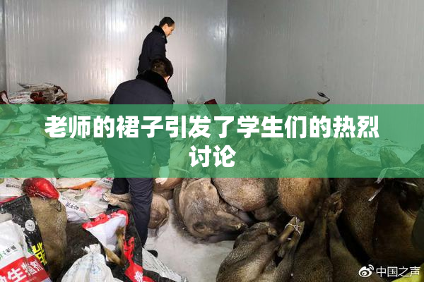 老师的裙子引发了学生们的热烈讨论