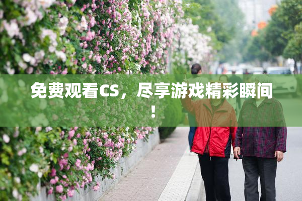 免费观看CS，尽享游戏精彩瞬间！